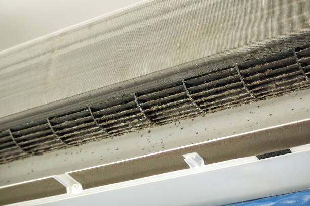 Best Professional Duct Cleaning Services  in Plantation, FL