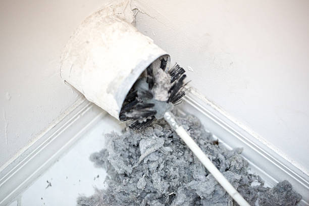 Best Local Air Duct Cleaning Services  in Plantation, FL